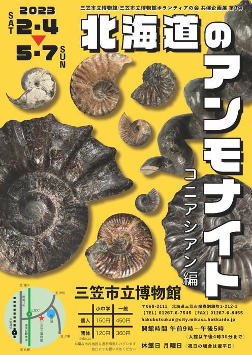 良好品】 釣り 北海道 アンモナイト テキサナイテスカワサキイ 化石