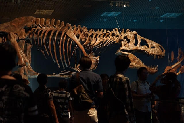 一覧 恐竜を常設している博物館 甲信越 山梨県 長野県 新潟県 探究舎